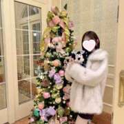 ヒメ日記 2025/11/27 20:09 投稿 星奈せいら BLENDA V.I.P東京店