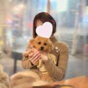 星奈せいら 🐶🤍 BLENDA V.I.P東京店