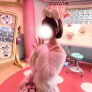 ヒメ日記 2026/01/28 20:11 投稿 星奈せいら BLENDA V.I.P東京店