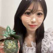 ヒメ日記 2025/04/26 19:31 投稿 しずく まだ舐めたくて学園渋谷校〜舐めたくてグループ〜