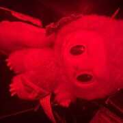 ヒメ日記 2025/08/06 23:38 投稿 せいら Club Melty