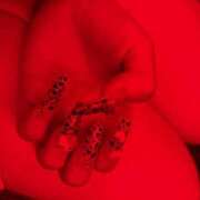 ヒメ日記 2025/09/26 23:40 投稿 せいら Club Melty