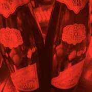 ヒメ日記 2025/11/22 20:00 投稿 せいら Club Melty