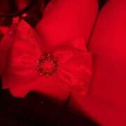 ヒメ日記 2026/02/14 22:07 投稿 せいら Club Melty