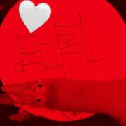 ヒメ日記 2026/04/22 21:07 投稿 せいら Club Melty