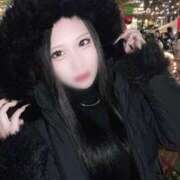 ヒメ日記 2025/04/07 14:20 投稿 野田 おと Neo Elegance（ネオエレガンス）