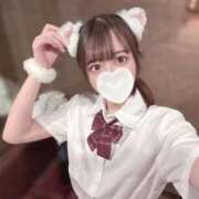 はなせ ぼくはねこ まだ舐めたくて学園渋谷校〜舐めたくてグループ〜