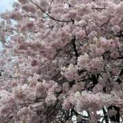 ヒメ日記 2025/04/13 16:20 投稿 ちか RED BERYL～レッドベリル～