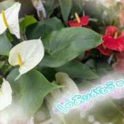 ヒメ日記 2025/06/08 12:38 投稿 ☆あいね☆ ◆プラウディア◆AAA級素人娘在籍店