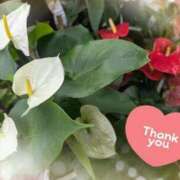 ヒメ日記 2025/06/27 14:21 投稿 ☆あいね☆ ◆プラウディア◆AAA級素人娘在籍店