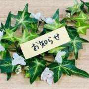 ヒメ日記 2025/08/17 13:58 投稿 ☆あいね☆ ◆プラウディア◆AAA級素人娘在籍店