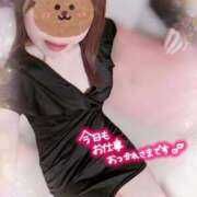 ヒメ日記 2025/10/02 12:30 投稿 ☆あいね☆ ◆プラウディア◆AAA級素人娘在籍店