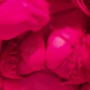 ヒメ日記 2025/02/19 19:20 投稿 ななせ ごほうびSPA五反田店