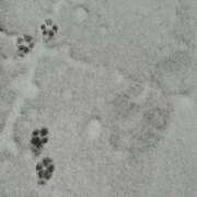 ヒメ日記 2026/02/08 11:39 投稿 ななせ ごほうびSPA五反田店