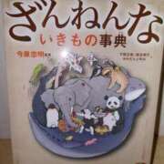 ヒメ日記 2025/01/16 10:17 投稿 きこ 佐賀人妻デリヘル 「デリ夫人」