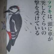 ヒメ日記 2025/01/20 10:24 投稿 きこ 佐賀人妻デリヘル 「デリ夫人」