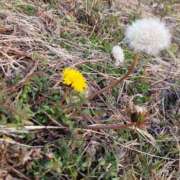 ヒメ日記 2025/01/21 16:59 投稿 きこ 佐賀人妻デリヘル 「デリ夫人」