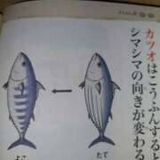 ヒメ日記 2025/01/25 13:31 投稿 きこ 佐賀人妻デリヘル 「デリ夫人」