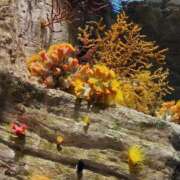 ヒメ日記 2025/02/12 15:21 投稿 きこ 佐賀人妻デリヘル 「デリ夫人」