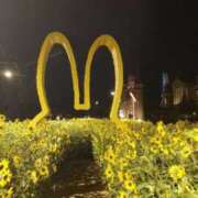 ヒメ日記 2025/08/09 13:45 投稿 きこ 佐賀人妻デリヘル 「デリ夫人」