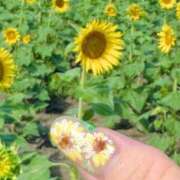 ヒメ日記 2025/09/22 13:31 投稿 きこ 佐賀人妻デリヘル 「デリ夫人」