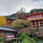 ヒメ日記 2025/11/20 05:51 投稿 きこ 佐賀人妻デリヘル 「デリ夫人」