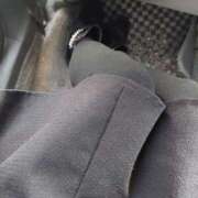 ヒメ日記 2026/01/19 13:33 投稿 きこ 佐賀人妻デリヘル 「デリ夫人」