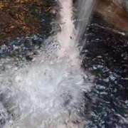 ヒメ日記 2026/02/11 09:23 投稿 きこ 佐賀人妻デリヘル 「デリ夫人」