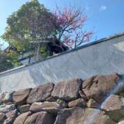 ヒメ日記 2026/02/25 13:19 投稿 きこ 佐賀人妻デリヘル 「デリ夫人」