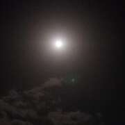 ヒメ日記 2026/03/04 04:46 投稿 きこ 佐賀人妻デリヘル 「デリ夫人」