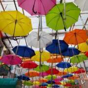 ヒメ日記 2026/03/31 07:06 投稿 きこ 佐賀人妻デリヘル 「デリ夫人」