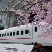 ヒメ日記 2026/04/20 09:03 投稿 きこ 佐賀人妻デリヘル 「デリ夫人」