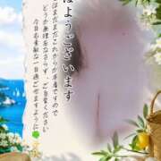 ヒメ日記 2026/07/25 08:52 投稿 きこ 佐賀人妻デリヘル 「デリ夫人」