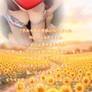 ヒメ日記 2026/08/01 11:46 投稿 きこ 佐賀人妻デリヘル 「デリ夫人」