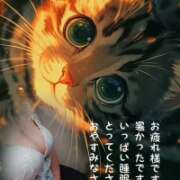 ヒメ日記 2026/08/03 21:18 投稿 きこ 佐賀人妻デリヘル 「デリ夫人」