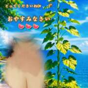 ヒメ日記 2026/08/05 22:13 投稿 きこ 佐賀人妻デリヘル 「デリ夫人」