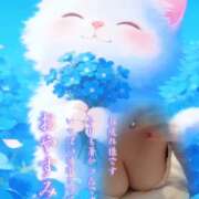 ヒメ日記 2026/08/19 22:57 投稿 きこ 佐賀人妻デリヘル 「デリ夫人」