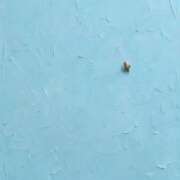 ヒメ日記 2026/09/15 08:06 投稿 きこ 佐賀人妻デリヘル 「デリ夫人」
