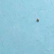 ヒメ日記 2026/09/23 07:33 投稿 きこ 佐賀人妻デリヘル 「デリ夫人」