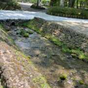 ヒメ日記 2025/12/06 09:01 投稿 ちの 西川口コスプレメイド学園（シンデレラグループ）