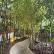 ちの 朝だよおはよー！！ 西川口コスプレメイド学園（シンデレラグループ）