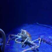 ヒメ日記 2026/03/14 09:03 投稿 ちの 西川口コスプレメイド学園（シンデレラグループ）