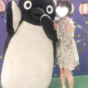 ヒメ日記 2026/07/25 01:09 投稿 ちの 西川口コスプレメイド学園（シンデレラグループ）