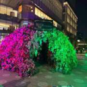 ヒメ日記 2025/04/05 11:47 投稿 松山あやの 東京不倫 渋谷店