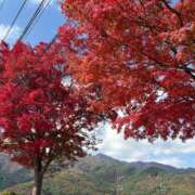 ヒメ日記 2025/11/28 15:17 投稿 松山あやの 東京不倫 渋谷店