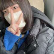 ヒメ日記 2025/01/29 13:00 投稿 ぴぴ ウルトラドリーム