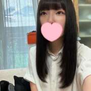 ヒメ日記 2025/07/24 07:59 投稿 ぴぴ ウルトラドリーム