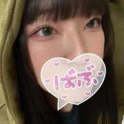 ぴぴ お久しぶりです ウルトラドリーム