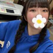 ぴぴ 枠空いた！ ウルトラドリーム