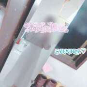 ヒメ日記 2025/11/17 07:01 投稿 すみれ 熟女の風俗最終章 本厚木店